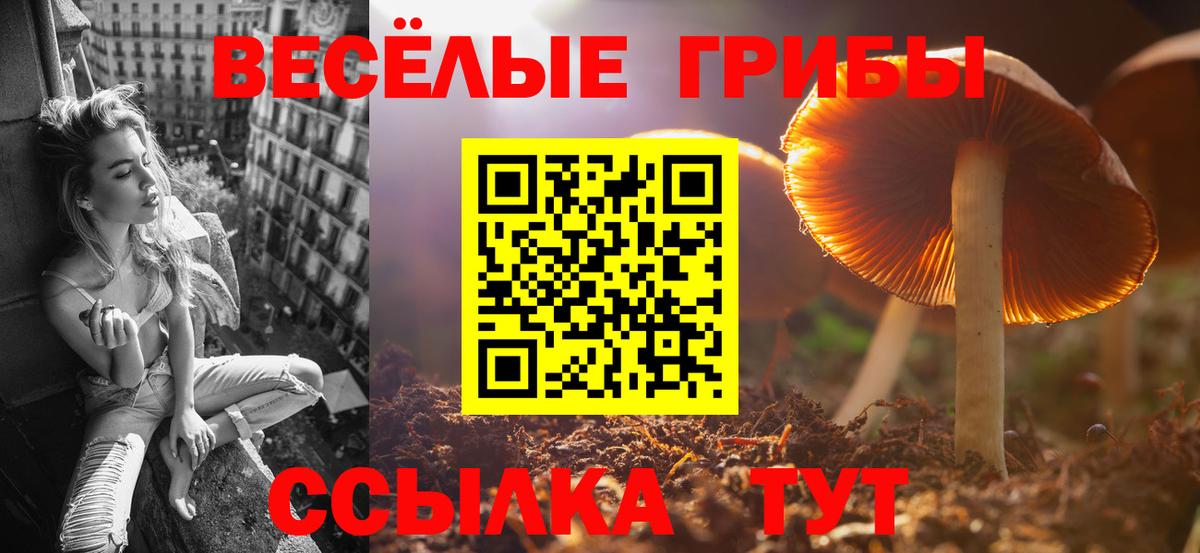 Псилоцибиновые грибы GOLDEN TEACHER Ликино-Дулёво